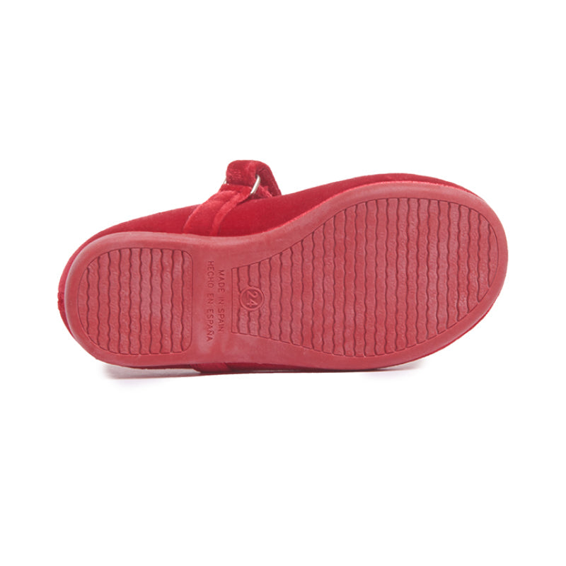Holly Red