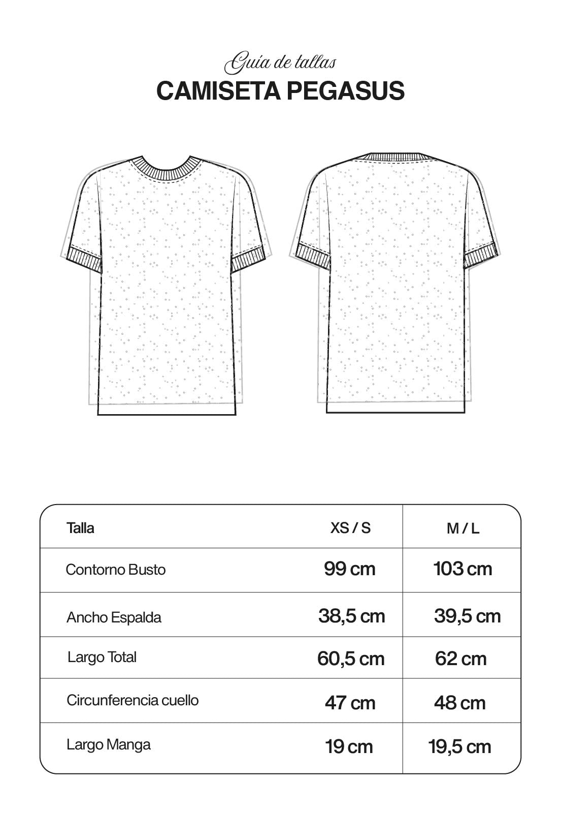 Camiseta Pegasus